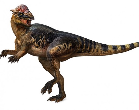 Pachycephalosaurus Raven Cbbc Tv Series Wiki Fandom