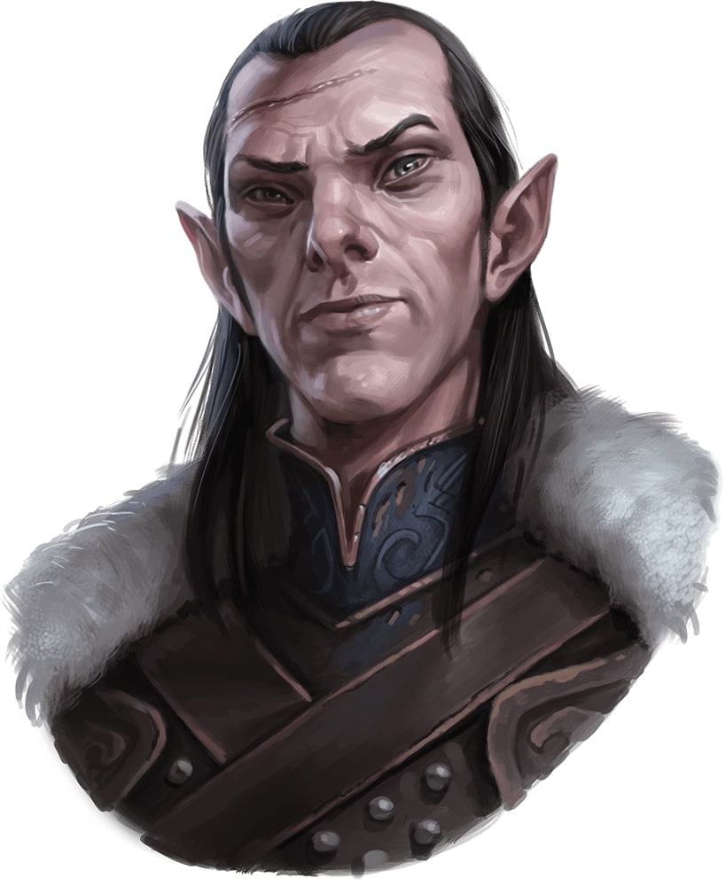 Rahadin was a dusk elf who served as manservant and right-hand man to Strah...