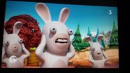 Teeth Rabbid