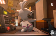 Les-lapins-cre-tins.jpg (197 KB)