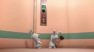 Rabbids-Invasion-Episode-13-Rabbid-Elevation--Surprise-Rabbid--Rabbid-Test-N-98001-C-the-Mirror.jpg (15 KB)