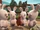 Rabbid Quatrio