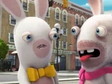 Fancy Rabbid