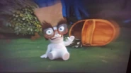 Bag Eyebrowns Glasses Teeth Rabbid.jpg (56 KB)
