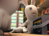 Radio Rabbid