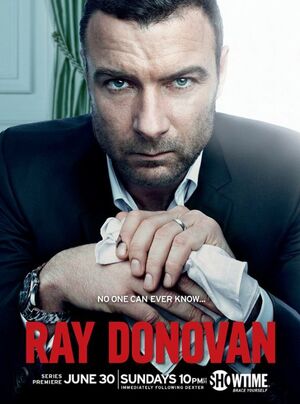 Ray Donovan Season 1 poster