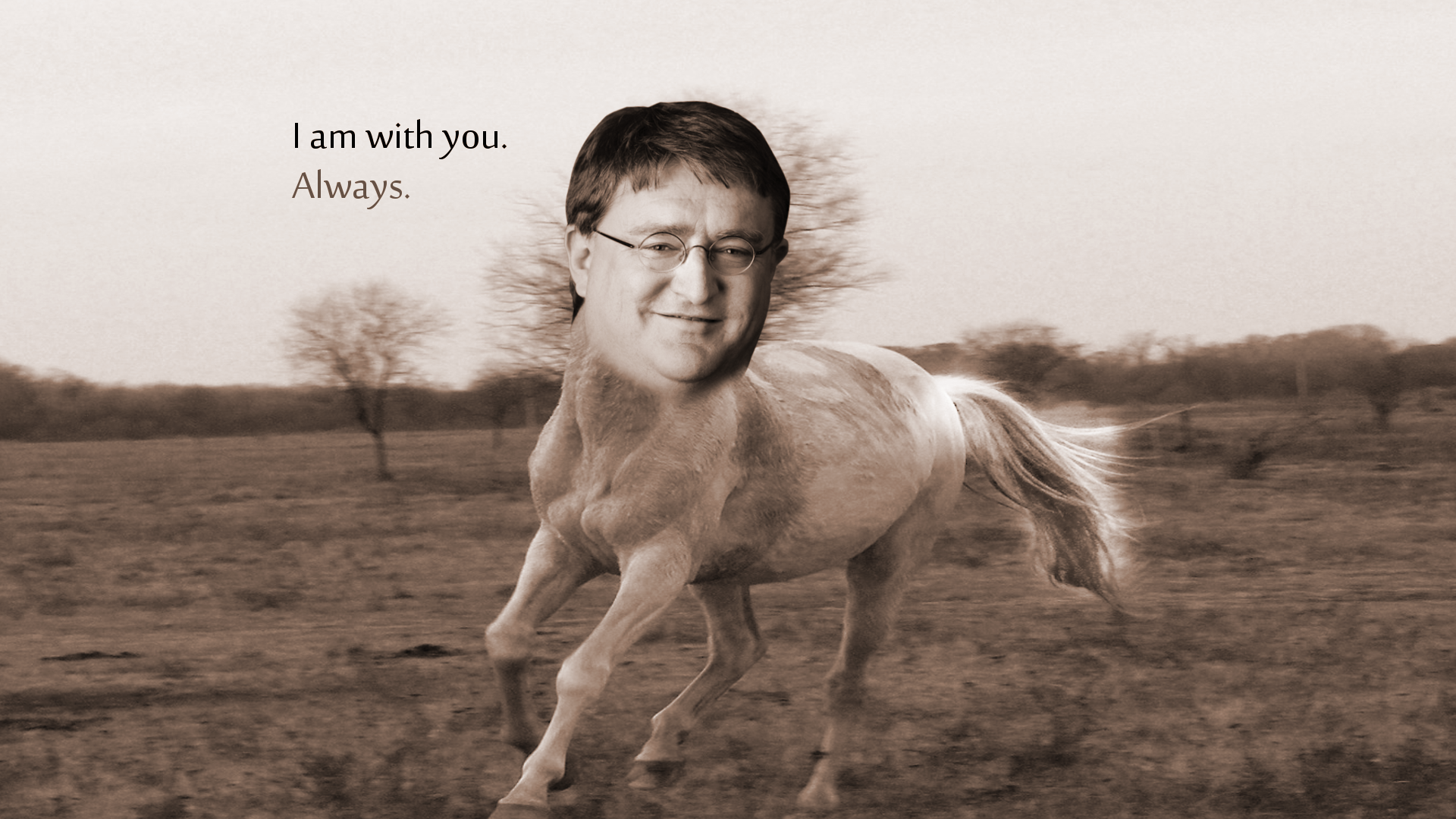 Gabe Newell  Know Your Meme