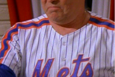 Ron Swoboda (character), Everybody Loves Raymond