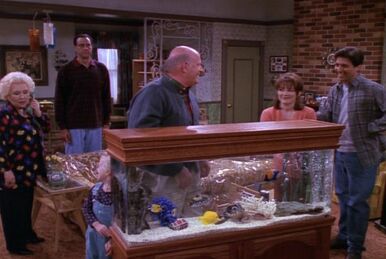 Art Shamsky (character), Everybody Loves Raymond