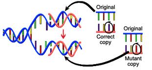 DNA Mutant