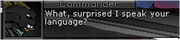 Lvl 10 human 2.png