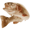 Trout-cooked.png