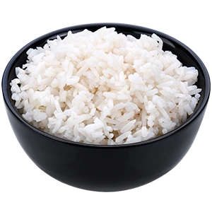 Rice - Official Razor Trail Survivors Wiki