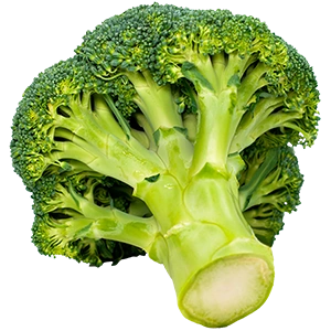 Broccoli - Official Razor Trail Survivors Wiki