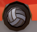 VolleyballRim