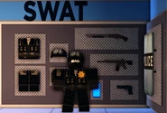 The SWAT Attire.