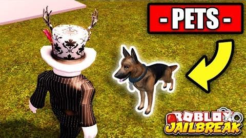 User Blog Thegmaster1 New Pet Shop Robbery Idea Jailbreak Wiki Fandom - pets robbery simulator roblox