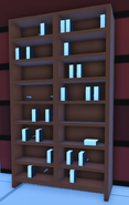 Trapped Bookshelf