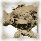 StoneBlalisIcon