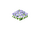 RCT 1 Gardens small 4.png