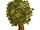 RCT 1 Tree 05.png