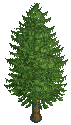 European Larch RCT1+2.png
