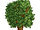 RCT 1 Tree 08.png