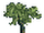 RCT 1 Tree 09.png