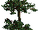 RCT 1 Tree 12.png