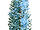 RCT 1 Norway Spruce Winter.png