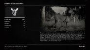 Perfil del ciervo de cola blanca en el compendio del Red Dead 2.