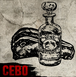 Cebo RDR