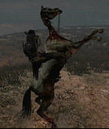 Caballo domado