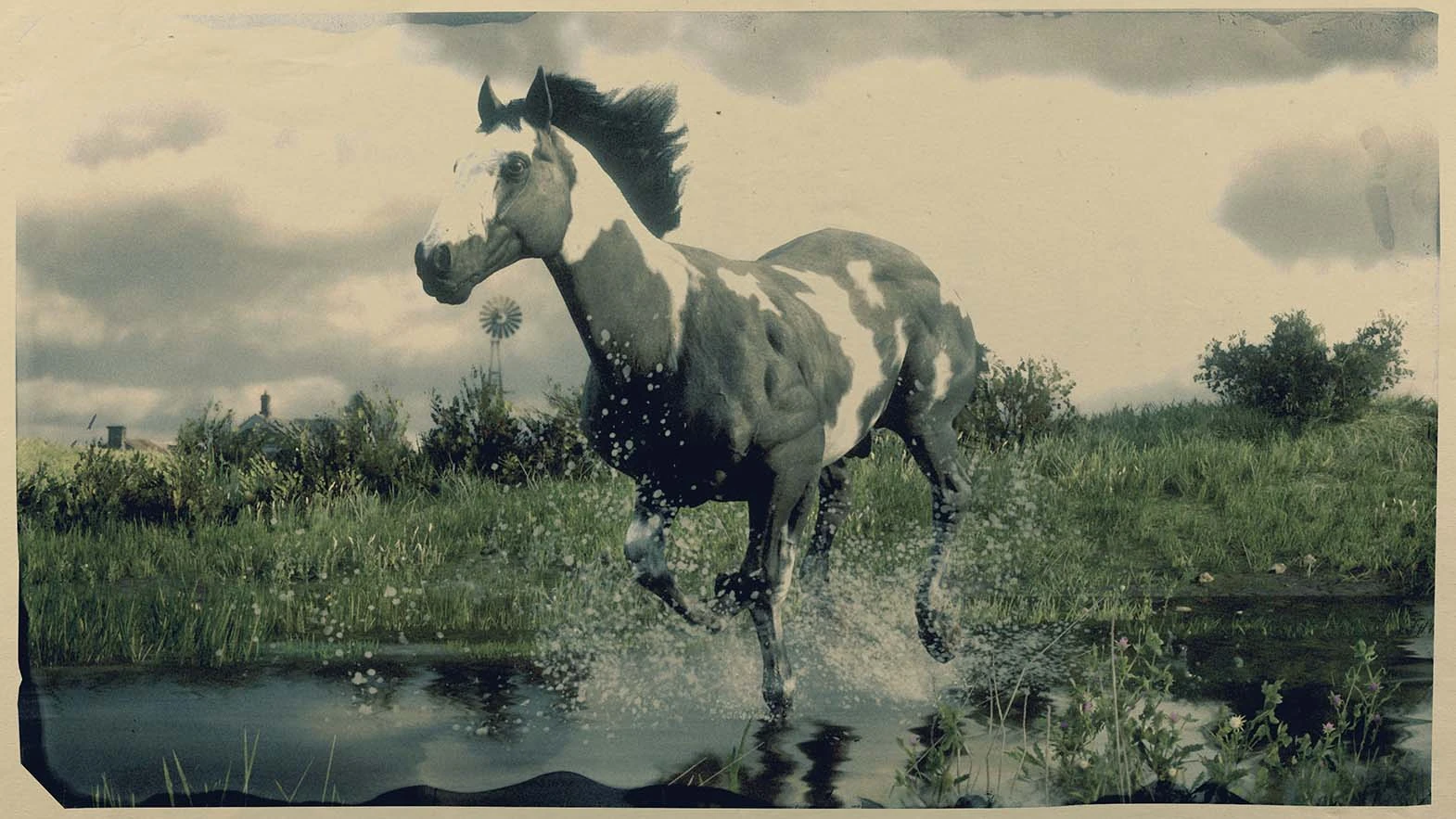 Рдр 2 пейнтхорс. Рдр 2 американский пейнтхорс. Аппалуза рдр 2. Пейнтхорс сплэш уайт. Red dead redemption 2 американский пейнтхорс.