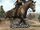 Lusitano