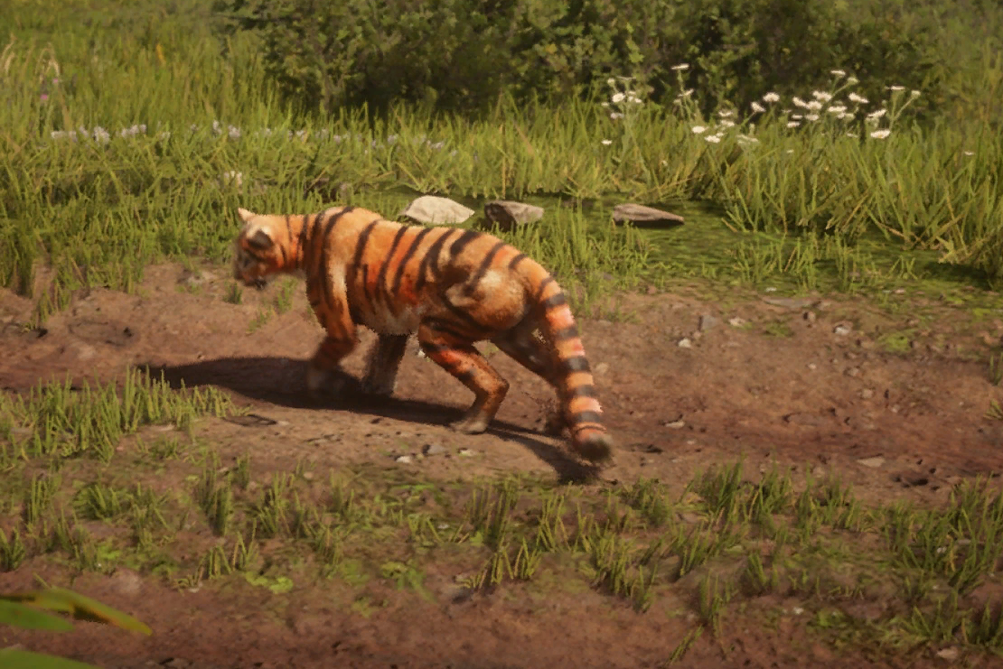 Puma Red Dead Wiki Fandom