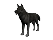 Lobo3d.png (303 kB) Modelo del lobo en 3D.