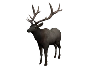 Uatapi.png (257 kB) Skin de color café claro del Uapití.