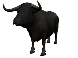 Superbull