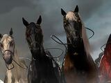 Los 4 caballos del apocalipsis