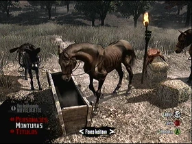Penco lusitano