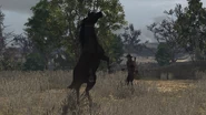 John Marston atando un caballo para domarlo.