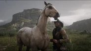 Al acercarse, el jugador puede acariciar al caballo para tranquilizarlo.
