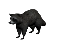 Modelo 3D del mapache.