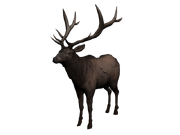 Uatapi2.png (257 kB) Skin de pelaje oscuro.