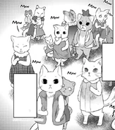 Cat siths seeking shelter at Parabellum