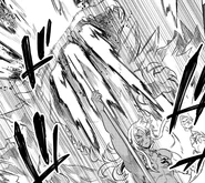 Easily defeated by Ogarou