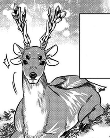 Red Deer Re Monster Wiki Fandom Tiene un muy buen comienzo que marca muy bien el tema principal de la serie (¿todas las vidas valen lo mismo?) y es increíble como va progresando en. red deer re monster wiki fandom