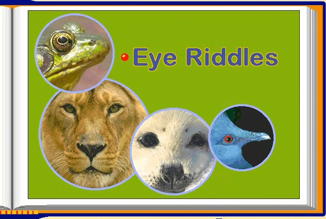 Eye Riddles | Reader Rabbit Wiki | Fandom