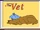 The Vet